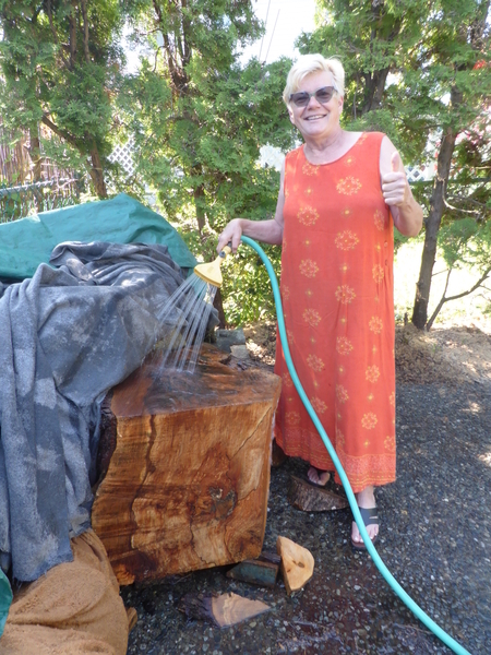 Watering the Wood to keep it from drying out and cracking. I want to sculpt this piece 'green'